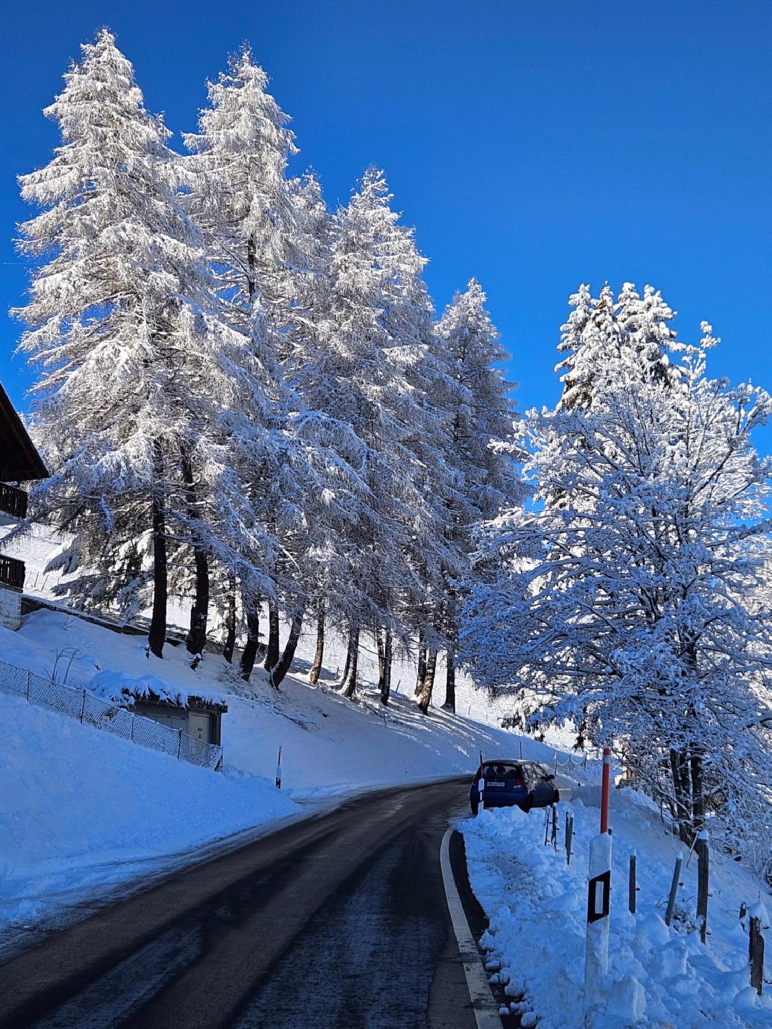Sweet & Cosy Chalet In The Heart Of The Swiss Alps Troistorrents Экстерьер фото